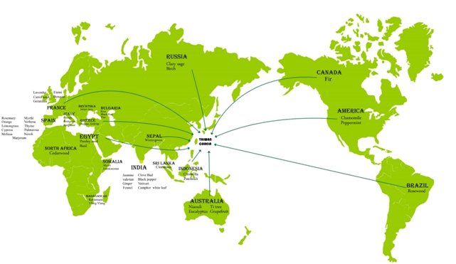 1649764683375 中醫芳療與西方芳療的異同